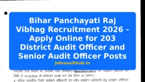 Bihar Panchayati Raj Vibhag Recruitment 2026 - Apply Online for 203 District Audit Officer and Senior Audit Officer Posts - 2026 Posts