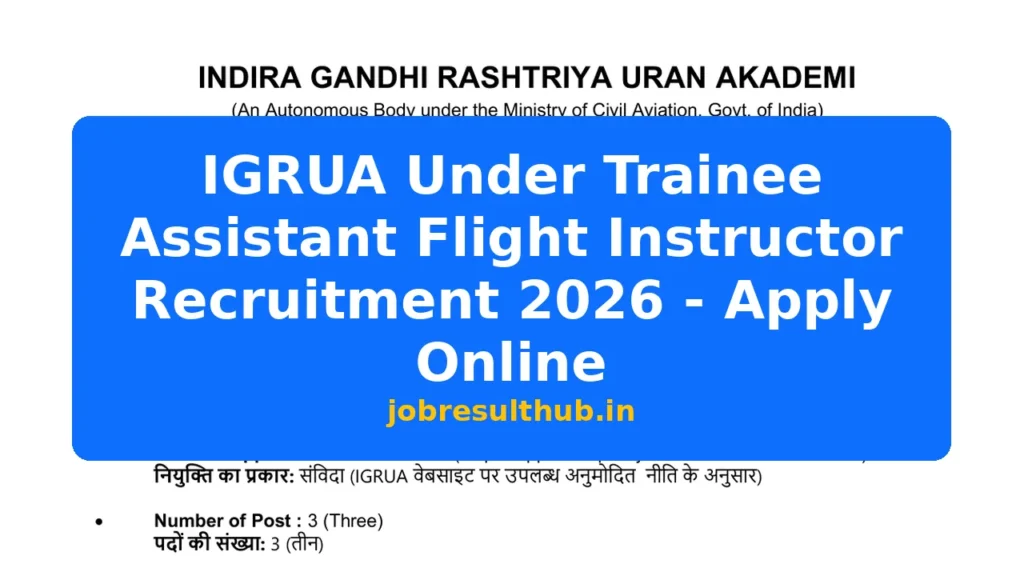 IGRUA Under Trainee Assistant Flight Instructor Recruitment 2026 - Apply Online - 2026 Posts