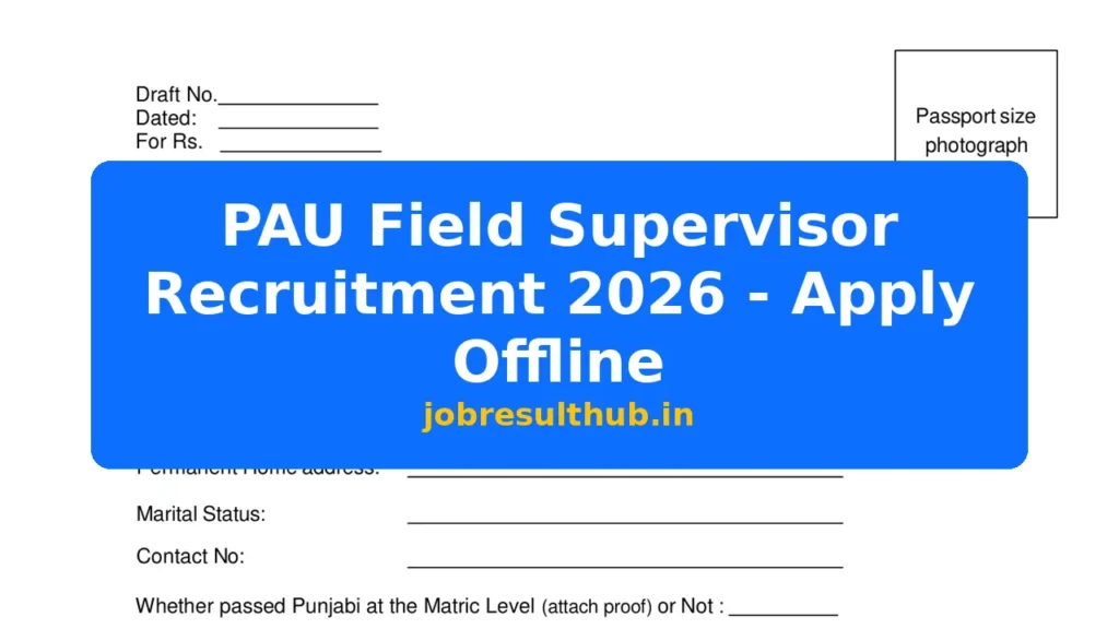 PAU Field Supervisor Recruitment 2026 - Apply Offline - 2026 Posts