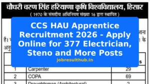 CCS HAU Apprentice Recruitment 2026 - Apply Online for 377 Electrician, Steno and More Posts - 2026 Posts